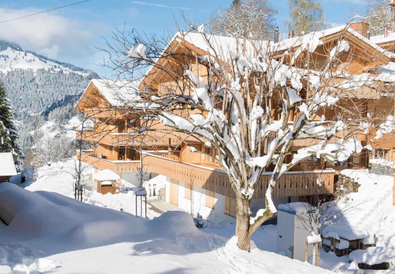 Panoramapark Soleil Chalet C Apartment Wengen Exterior photo